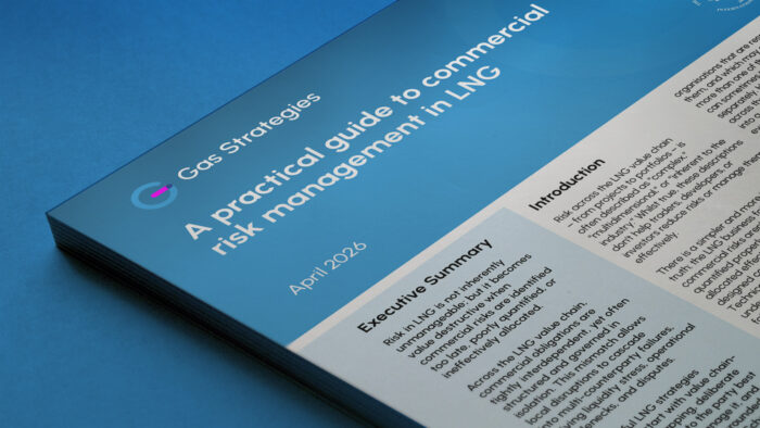 Commercial Risk Management in LNG